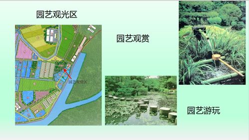 總投資達(dá)4億元,橫跨三個(gè)社區(qū) 東莞將誕生一個(gè)巨無霸農(nóng)業(yè)產(chǎn)業(yè)園