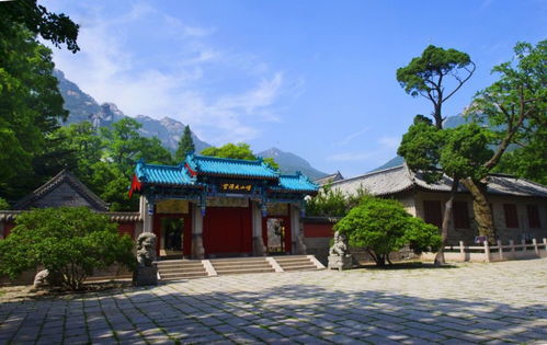實現(xiàn)太清 仰口 華嚴 九水互聯(lián)互通 大嶗山 游覽布局進入三年攻堅行動方案