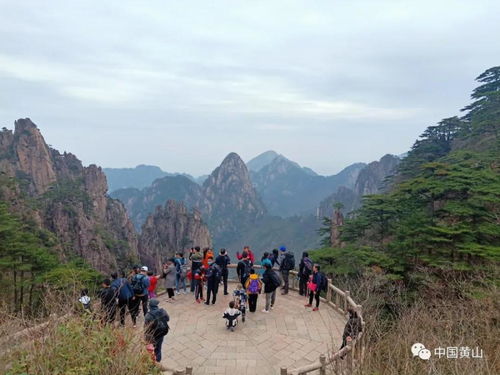 黃山風(fēng)景區(qū)管委會 清明小長假第三天景區(qū)游覽秩序井然